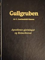 Gullgruben - Apostlenes gjerninger & Romerbrevet