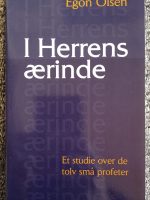 I Herrens ærinde (på dansk)