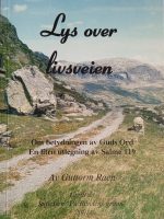 Lys over livsveien