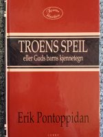 Troens speil eller Guds barns kjennetegn